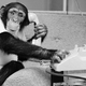 Image for article titled Unfortunate chimpanzee discovers Instagram, wasting time on Instagram